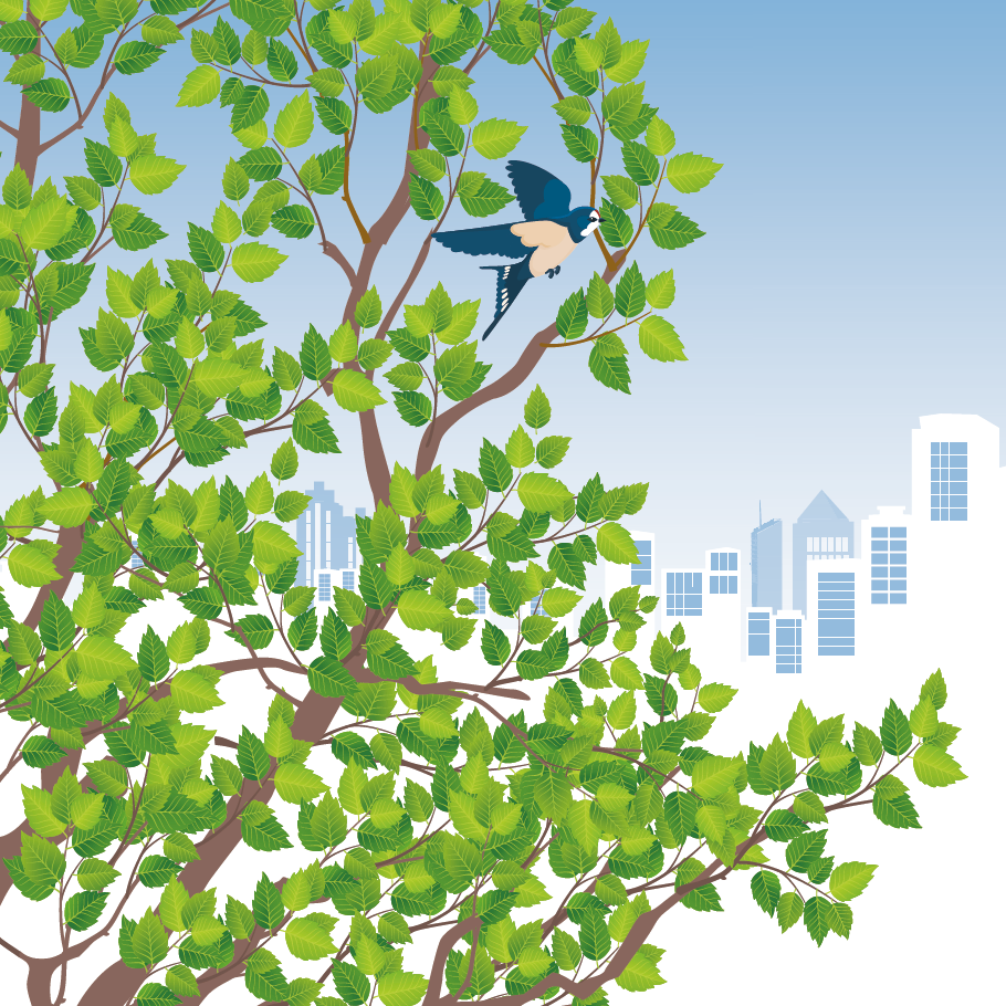 Illustration d'un arbre sur fond de la ville de Lyon