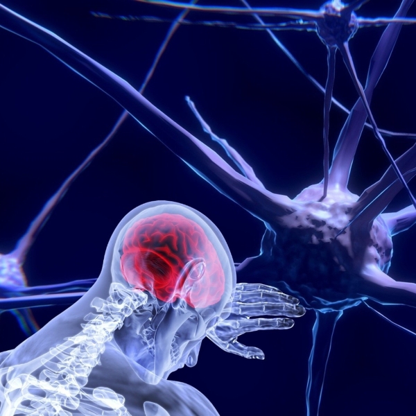 Illustration représentant un corps humain au travers duquel transparaît son organe cerebral.