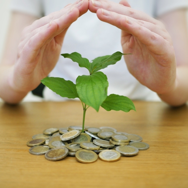 Illustration représentant un arbre prenant racines dans un sol de pièces de monnaie