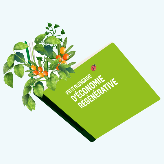 Illustration d'un livre et d'une plante