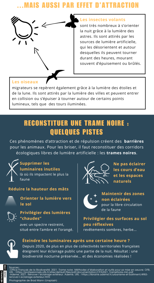 …MAIS AUSSI PAR EFFET D’ATTRACTION  Les insectes volants sont très nombreux à s’orienter la nuit grâce à la lumière des astres. Ils sont attirés par les sources de lumière artificielle, qui les désoriente et autour desquelles ils peuvent tourner durant des heures, mourant souvent d’épuisement ou brûlés.    Les oiseaux migrateurs se repèrent également grâce à la lumière des étoiles et de la Lune. Ils sont attirés par la lumière des villes et peuvent entrer en collision ou s’épuiser à tourner autour de certains points lumineux, tels que des tours illuminées.    RECONSTITUER UNE « TRAME NOIRE » : QUELQUES PISTES  Ces phénomènes d’attraction et de répulsion créent des barrières pour les animaux. Pour les briser, il faut reconstituer des corridors écologiques libres de lumière artificielle : les « trames noires ».   Supprimer les luminaires inutiles, là où ils impactent le plus la faune  Réduire la hauteur des mâts  Orienter la lumière vers le sol  Privilégier des lumières « chaudes », avec un spectre restreint, situé entre l’ambre et l’orangé  Ne pas éclairer les cours d’eau et les espaces naturels  Maintenir des zones non éclairées pour la libre circulation de la faune  Privilégier des surfaces au sol peu réflexives (revêtements sombres, herbe…)   Éteindre les luminaires après une certaine heure ? Depuis 2020, de plus en plus de collectivités territoriales françaises éteignent leur éclairage public une partie de la nuit. Résultat : une biodiversité nocturne préservée… et des économies réalisées !