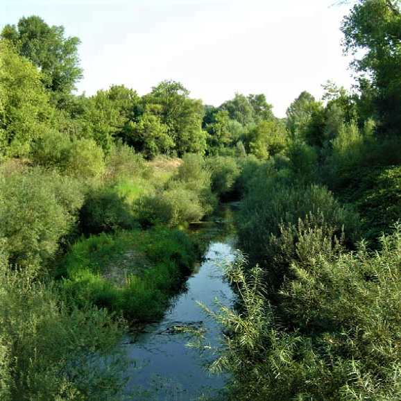 Photographie d'un lône