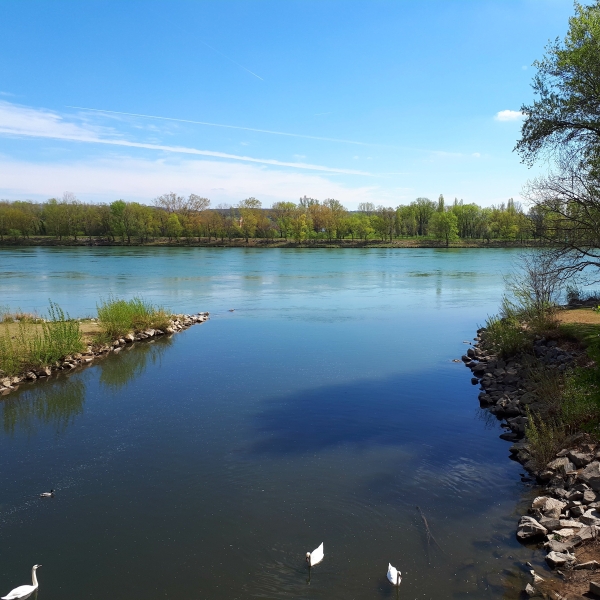 Photographie de l'embouchure du Gier à Givors