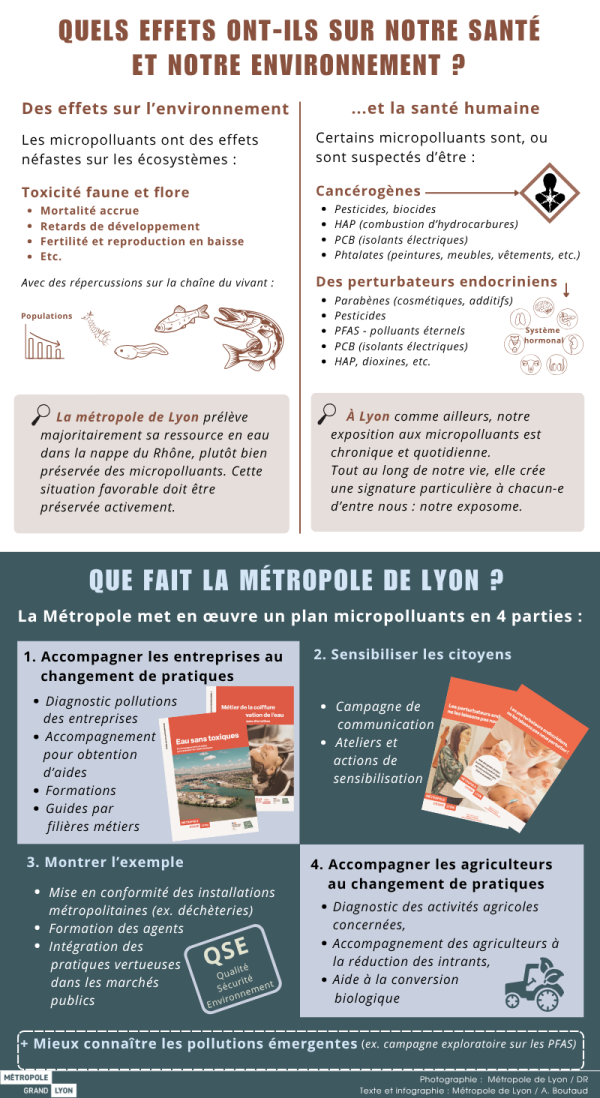 Quels effets ont-ils sur notre santé et notre environnement ?  Des effets sur l’environnement  Les micropolluants ont des effets néfastes sur les écosystèmes :   Toxicité faune et flore  • Mortalité accrue • Retards de développement • Fertilité et reproduction en baisse • Etc.  Avec des répercussions sur la chaîne du vivant    La métropole de Lyon prélève majoritairement sa ressource en eau dans la nappe du Rhône, plutôt bien préservée des micropolluants. Cette situation favorable doit être préservée activement.   ... et la santé humaine  Certains micropolluants sont, ou sont suspectés d’être :  Cancérogènes • Pesticides, biocides • HAP (combustion d’hydrocarbures) • PCB (isolants électriques) • Phtalates (peintures, meubles, vêtements, etc.)  Des perturbateurs endocriniens • Parabènes (cosmétiques, additifs) • Pesticides • PFAS - polluants éternels • PCB (isolants électriques) • HAP, dioxines, etc.  À Lyon comme ailleurs, notre exposition aux micropolluants est chronique et quotidienne. Tout au long de notre vie, elle crée une signature particulière à chacune et chacun d’entre nous : notre exposome. Que fait la métropole de Lyon ?  La Métropole met en œuvre un plan micropolluants en 4 parties :  1. Accompagner les entreprises au changement de pratiques  • Diagnostic pollutions des entreprises  • Accompagnement pour obtention d’aides  • Formations  • Guides par filières métiers   2. Sensibiliser les citoyens  • Campagne de communication • Ateliers et actions de sensibilisation   3. Montrer l’exemple  • Mise en conformité des installations métropolitaines (ex. déchèteries) • Formation des agents • Intégration des pratiques vertueuses dans les marchés publics   4. Accompagner les agriculteurs au changement de pratiques  • Diagnostic des activités agricoles concernées,  • Accompagnement des agriculteurs à la réduction des intrants, • Aide à la conversion biologique   + Mieux connaître les pollutions émergentes (ex. campagne exploratoire sur les PFAS)   Photographie :  Métropole de Lyon / DR Texte et infographie : Métropole de Lyon / A. Boutaud