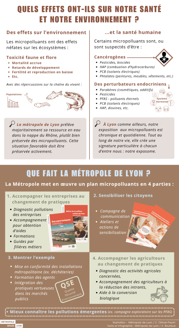 Quels effets ont-ils sur notre santé et notre environnement ?  Des effets sur l’environnement  Les micropolluants ont des effets néfastes sur les écosystèmes :   Toxicité faune et flore  • Mortalité accrue • Retards de développement • Fertilité et reproduction en baisse • Etc.  Avec des répercussions sur la chaîne du vivant    La métropole de Lyon prélève majoritairement sa ressource en eau dans la nappe du Rhône, plutôt bien préservée des micropolluants. Cette situation favorable doit être préservée activement.   ... et la santé humaine  Certains micropolluants sont, ou sont suspectés d’être :  Cancérogènes • Pesticides, biocides • HAP (combustion d’hydrocarbures) • PCB (isolants électriques) • Phtalates (peintures, meubles, vêtements, etc.)  Des perturbateurs endocriniens • Parabènes (cosmétiques, additifs) • Pesticides • PFAS - polluants éternels • PCB (isolants électriques) • HAP, dioxines, etc.  À Lyon comme ailleurs, notre exposition aux micropolluants est chronique et quotidienne. Tout au long de notre vie, elle crée une signature particulière à chacune et chacun d’entre nous : notre exposome. Que fait la métropole de Lyon ?  La Métropole met en œuvre un plan micropolluants en 4 parties :  1. Accompagner les entreprises au changement de pratiques  • Diagnostic pollutions des entreprises  • Accompagnement pour obtention d’aides  • Formations  • Guides par filières métiers   2. Sensibiliser les citoyens  • Campagne de communication • Ateliers et actions de sensibilisation   3. Montrer l’exemple  • Mise en conformité des installations métropolitaines (ex. déchèteries) • Formation des agents • Intégration des pratiques vertueuses dans les marchés publics   4. Accompagner les agriculteurs au changement de pratiques  • Diagnostic des activités agricoles concernées,  • Accompagnement des agriculteurs à la réduction des intrants, • Aide à la conversion biologique   + Mieux connaître les pollutions émergentes (ex. campagne exploratoire sur les PFAS)   Photographie :  Métropole de Lyon / DR Texte et infographie : Métropole de Lyon / A. Boutaud