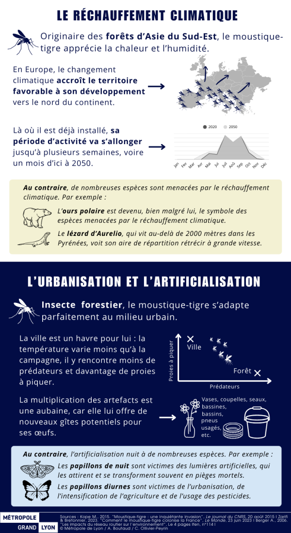 LE R&Eacute;CHAUFFEMENT CLIMATIQUE  Au contraire, de nombreuses esp&egrave;ces sont menac&eacute;es par le r&eacute;chauffement climatique. Par exemple : &bull; L&rsquo;ours polaire est devenu, bien malgr&eacute; lui, le symbole des esp&egrave;ces menac&eacute;es par le r&eacute;chauffement climatique. &bull; Le l&eacute;zard d&rsquo;Aurelio, qui vit au-del&agrave; de 2000 m&egrave;tres dans les Pyr&eacute;n&eacute;es, voit son aire de r&eacute;partition r&eacute;tr&eacute;cir &agrave; grande vitesse. L&rsquo;URBANISATION ET L&rsquo;ARTIFICIALISATION  Insecte forestier, le moustique-tigre s&rsquo;adapte parfaitement au milieu urbain. L&agrave; o&ugrave; il est d&eacute;j&agrave; install&eacute;, sa p&eacute;riode d&rsquo;activit&eacute; va s&rsquo;allonger jusqu&rsquo;&agrave; plusieurs semaines, voire un mois d&rsquo;ici &agrave; 2050.  La ville est un havre pour lui : la temp&eacute;rature varie moins qu&rsquo;&agrave; la campagne, il y rencontre moins de pr&eacute;dateurs et davantage de proies &agrave; piquer.  La multiplication des artefacts est une aubaine, car elle lui offre de nouveaux g&icirc;tes potentiels pour ses &oelig;ufs.  Au contraire, l&rsquo;artificialisation nuit &agrave; de nombreuses esp&egrave;ces. Par exemple :  &bull; Les papillons de nuit sont victimes des lumi&egrave;res artificielles, qui les attirent et se transforment souvent en pi&egrave;ges mortels. &bull; Les papillons diurnes sont victimes de l&rsquo;urbanisation, de l&rsquo;intensification de l&rsquo;agriculture et de l&rsquo;usage des pesticides.