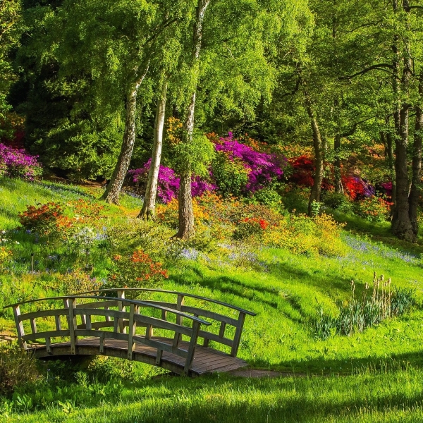 Photographie d'un parc verdoyant dans lequel il y a un petit pond en bois