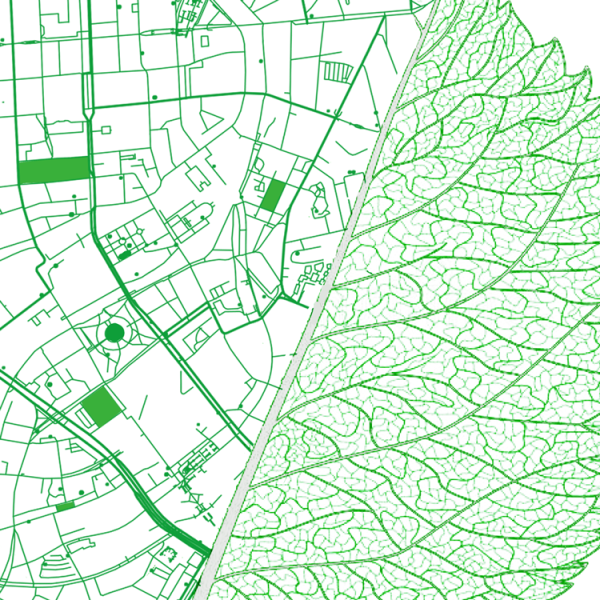 Illustration d'une feuille et d'une ville vue du haut