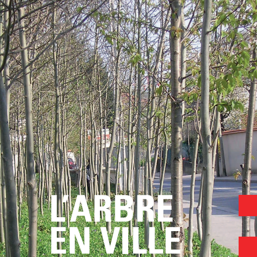 Illustration représentant des arbres dans la ville