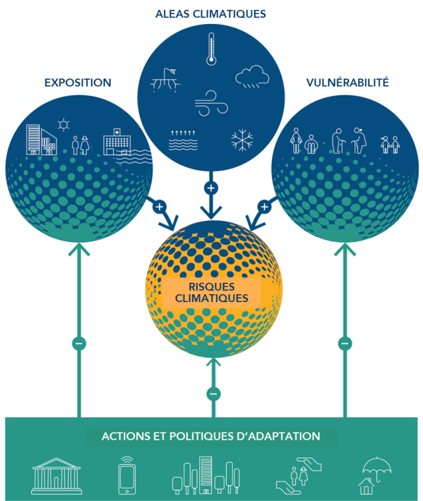 L'exposition, les aléas climatiques et la vulnérabilité mène aux risques climatiques. Les actions et politiques d'adaptation permet de réduire tous ces risques.