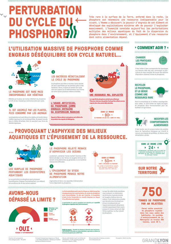 Perturbation du cycle du phosphore