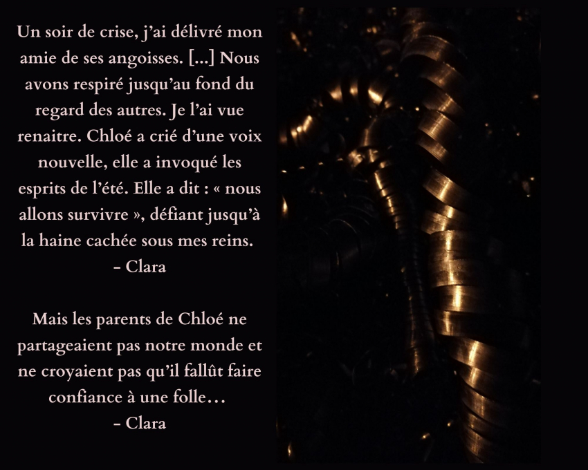 Sur fond noir des formes abstraites de couleur marron-doré, deux citations : "Un soir de crise, j'ai délivré mon amie de ses angoisses. [...] Nous avions respiré jusqu'au fond du regard des autres. Je l'ai vue renaître. Chloé a crié d'une voix nouvelle, elle a invoqué les esprits de l'été. Elle a dit : "nous allons survivre", défiant jusqu'à la haine cachée sous mes reins." - Clara ; "Mais les parents de Chloé ne partageaient pas notre monde et ne croyaient pas qu'il fallût faire confiance à une folle ..." - Clara