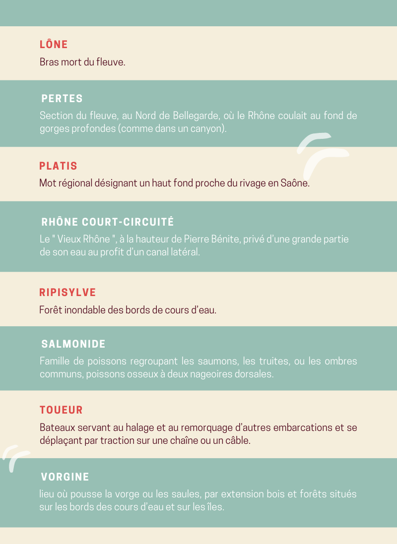 Définition des mots lône; pertes; platis; rhône court-circuit; ripisylve; salmonide; toueur; vorgine
