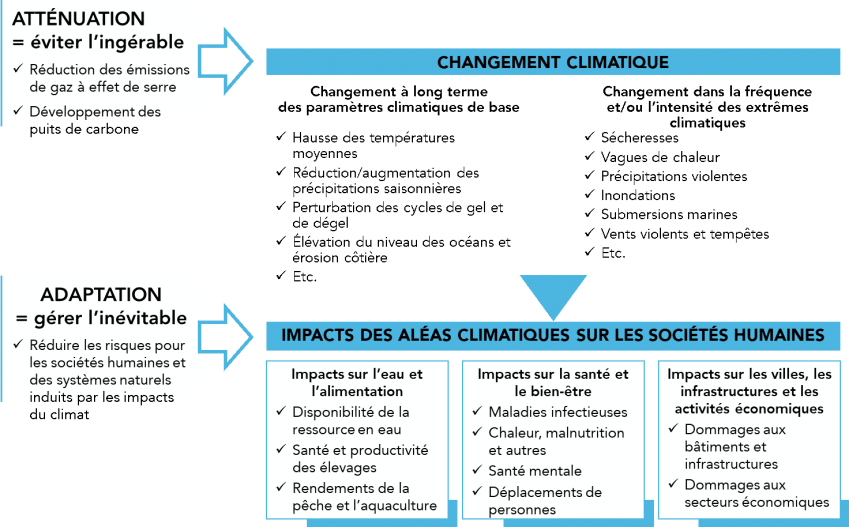 L'atténuation permet d'éviter l'ingérable : Réduction des émissions de gaz à effet de serre, développement des puits de carbone. Avec l'atténuation on influe sur le changement climatique pour éviter le changement à long terme des paramètres climatiques de base et sur les changements dans la fréquence et/ou l'intensité des extrêmes climatiques. L'adaptation permet de gérer l'inévitable : Réduire les risques pour les sociétés humaines et des systèmes naturels induits par les impacts du climat. En s'adaptant on réduits les impacts des aléas climatiques sur les sociétés humaines : Les impacts sur l'eau et l'alimentation, les impacts sur la santé et le bien-être et les impacts sur les villes, les infrastructures et les activités économiques.