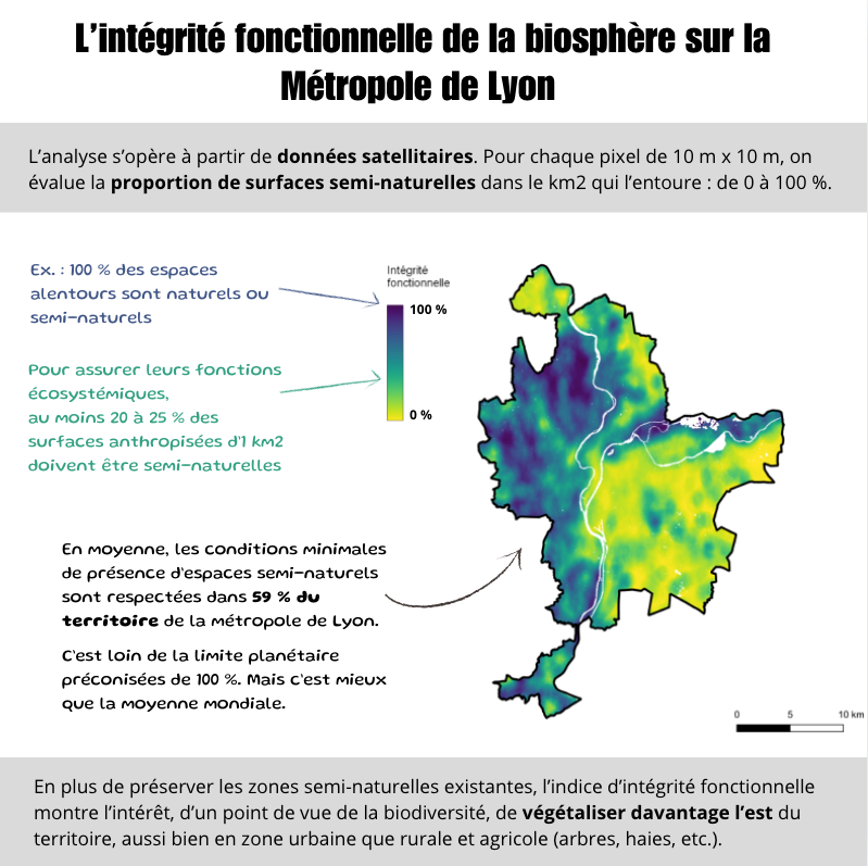l'intégrité fonctionnelle de la biosphère sur la  Métropole de Lvon. L'analyse s'opère à partir de données satellitaires. Pour chaque pixel de 10 m x 10 m, on évalue la proportion de surfaces semi-naturelles dans le km2 qui l'entoure : de 0 à 100 %. Ex. : 100 % des espaces alentours sont naturels ou seMi-naturels  Pour assurer leurs fonctions écosystéMiques,  au Moins 20 à 25 % des surfaces anthropisées d'l kM2 doivent être seMi-naturelles. En Moyenne, les conditions MiniMales de présence d'espaces seMi-naturels sont respectées dans 59 % cfu  1:err..tolre de la Métropole de Lyon.  C'est loin de la liMite planétaire préconisées de 100 %. Mais c'est Mieux que la MOyenne MOndiale. En plus de préserver les zones semi-naturelles existantes, l'indice d'intégrité fonctionnelle montre l'intérêt, d'un point de vue de la biodiversité, de végétaliser davantage l'est du territoire, aussi bien en zone urbaine que rurale et agricole (arbres, haies, etc.}.