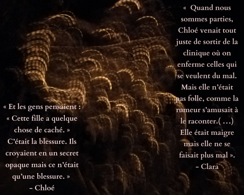 Sur fond noir des formes abstraites de couleur marron-doré, deux citations : "Et les gens pensaient : "Cette fille a quelque chose de caché." C'était une blessure. Ils croyaient en un secret opaque mais ce n'était qu'une blessure." - Chloé; "Quand nous sommes parties, Chloé venait tout juste de sortir de la clinique où on enferme celles qui se veulent du mal. Mais elle n'était pas flle comme la rumeur s'amusait à le raconter. (...) Elle était maigre mais elle ne se faisait pas mal." - Clara