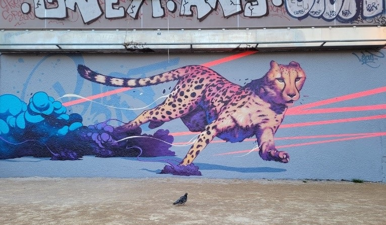 Fresque de Kalouf sur la Gâche, le mur de la place Mazagran, 2021