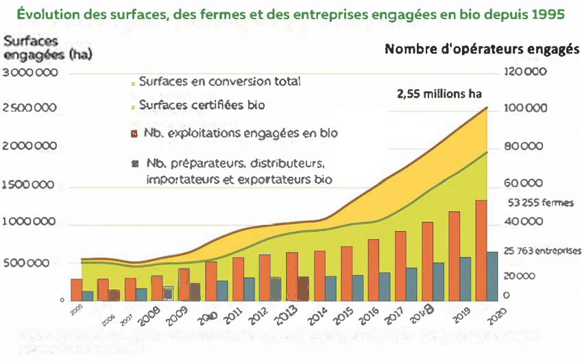 Graphique Évolution des surfaces, des fermes et des entreprises engagées en bio depuis 1995. Surface engagées (ha) de 500 000 à a 3 000 000. Nombre d'opérateurs engagés de 0 à 120 000. Le graphique démontre une montée progressive du nombre d'exploitation engagées en bio de 2005 à 2020, nous passons de moins de 500 000 ha avec 20 000 opérateurs en 2005 à 1.5 million de ha et 55 000 opérateurs en 2020. Le nombre de préparateurs; distributeurs, importateurs et exportateurs bio reste constamment en dessous de 500 000 ha pour moins de 30 000 opérateurs de 2005 à 2020. Les surfaces certifiées bio et en conversion total passe de 500 000 ha et 30 000 opérateurs en 2005 à 80 000 opérateurs et 2 000 000 de ha pour les surfaces certifiées bio en 2020. Pour les surfaces en conversion total, nous atteignons 100 000 opérateurs engagés et 2 500 000 surfaces engagées en ha en 2020.