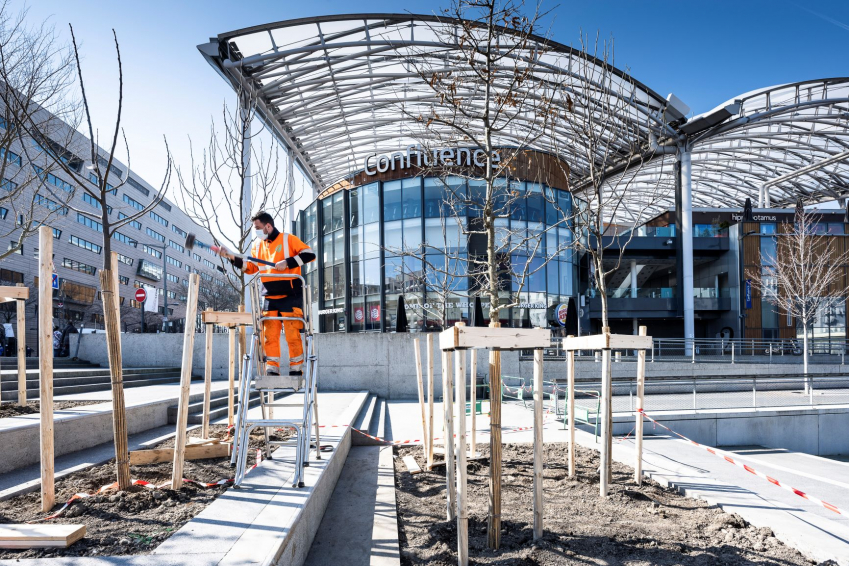 Photo de l'entretien d'arbre devant le centre commercial Confluence