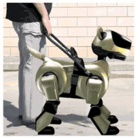 robot d'accompaagnement