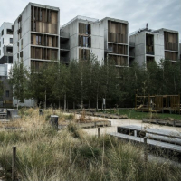 Photographie d'un quartier populaire végétalisé